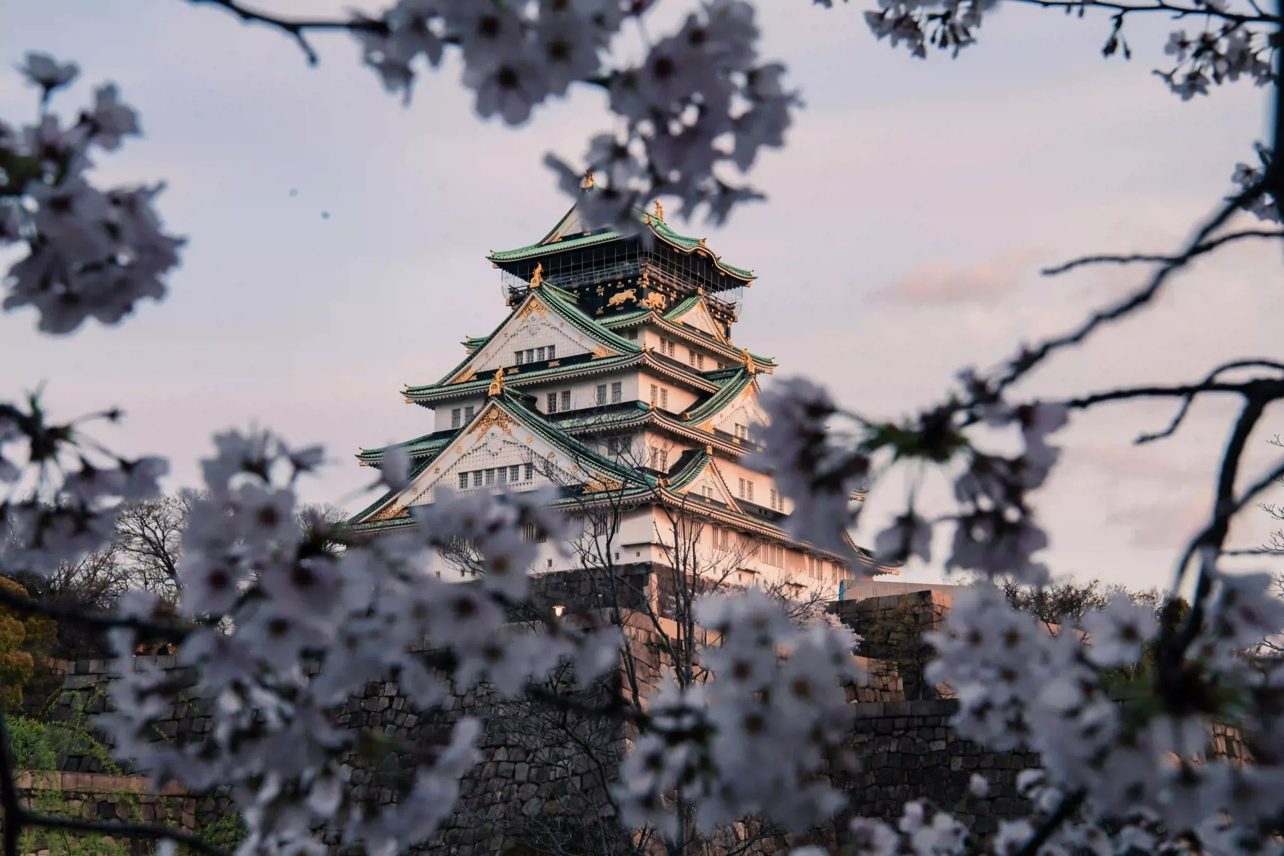 Osaka Castle viewed through cherry blossoms.
