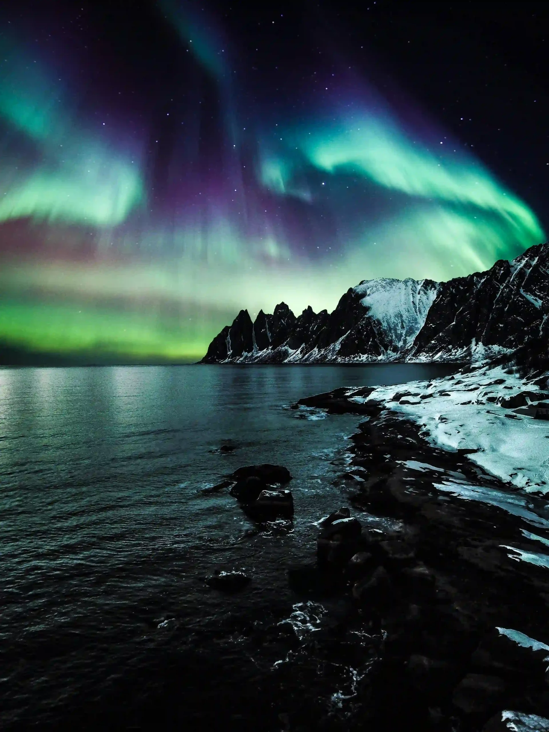 Vibrant green Northern Lights over a snowy shoreline in Norway.